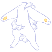 This is our 2nd mascot, Sock! Sock is Charm's younger brother!