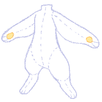 This is our 2nd mascot, Sock! Sock is Charm's younger brother!