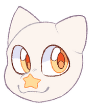 This is our 2nd mascot, Sock! Sock is Charm's younger brother!