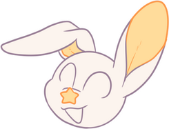 This is our 2nd mascot, Sock! Sock is Charm's younger brother!